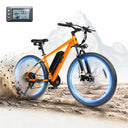 Qlife Racer Ebike - Off Road