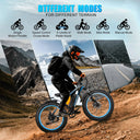 Eoeotwo High Power Fat Tire Ebike