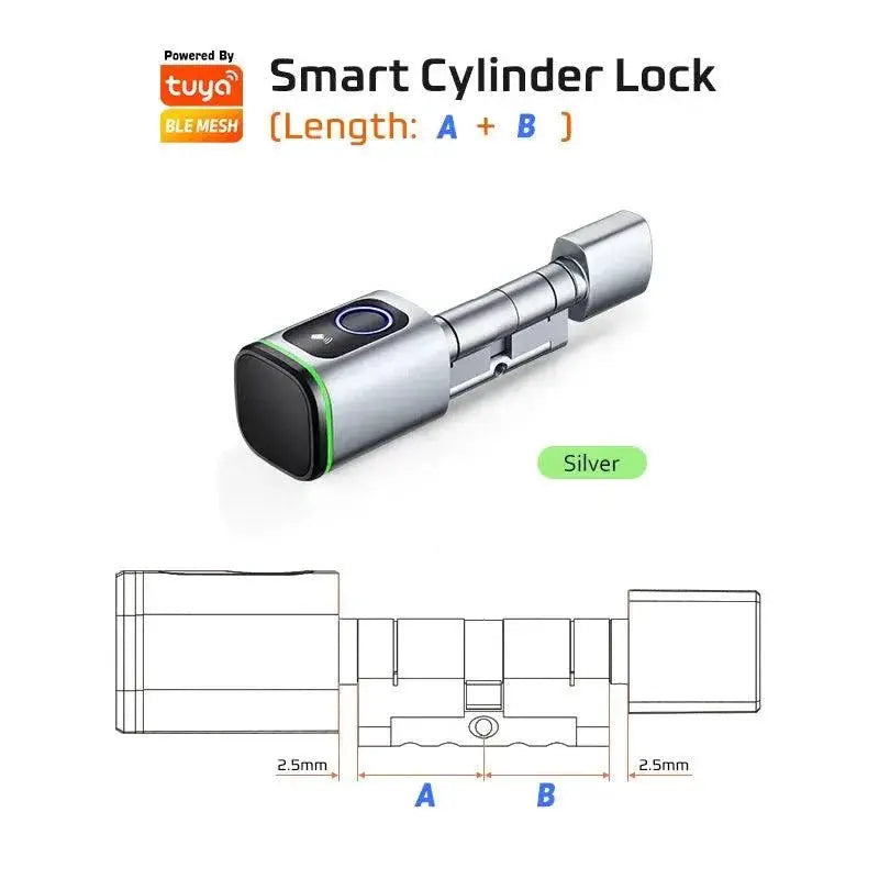 RayKube Door Lock Remote Access — Tuya Silver