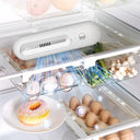 Premium Refrigerator Deodorizer
