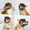Dog Eye Safety Sunglasses and Helmet
