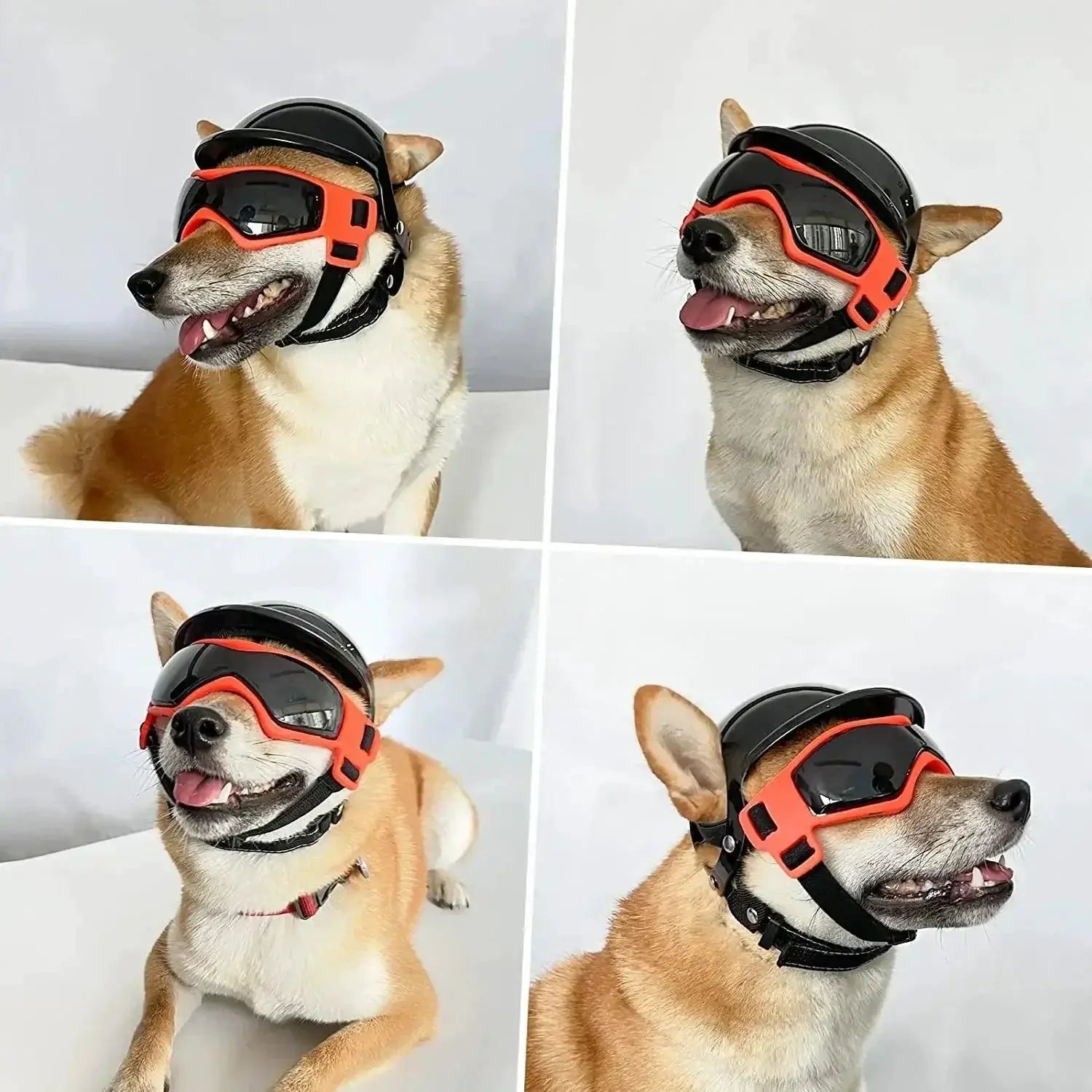 Stylish Dog Sunglasses And Helmet Set For Pet Safety