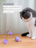 Autonomous Jumping Ball Cat Toy Indoors