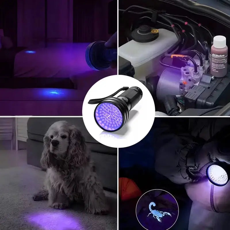 9/12/21/51 LED Protable UV Flashlight Black Light Ultraviolet Torch Blacklight Detector for Dog Urine Pet Stain and Bed Bug