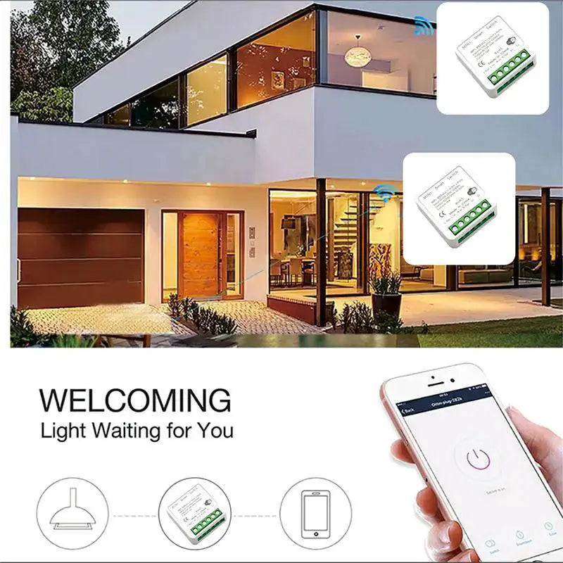 Smart WiFi Light Switch Module With Alexa Google Home