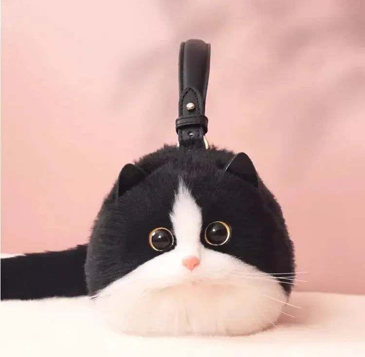 Pet Accessory Please Note Test Connection Is Incorrect