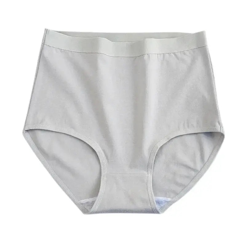 Plus Size Body Shaper Panties 2 Pack Cotton Underwear