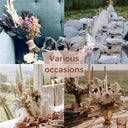 Effortless Pampas Grass Decor for Home
