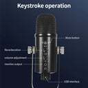 USB Condenser Microphone Professional Podcast Microphone