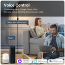 WiFi Smart Mini Switch for Home Automation with Voice Control