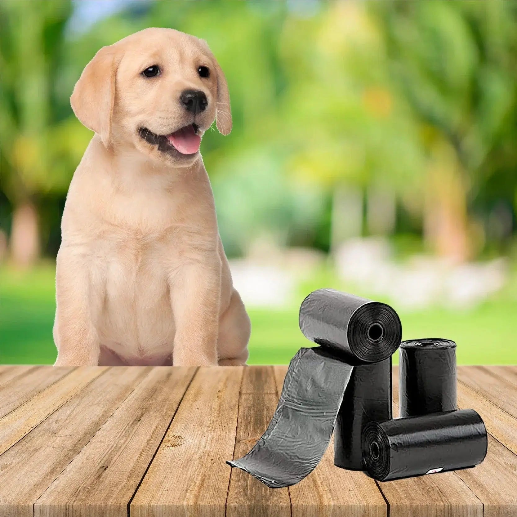 Yommy Colorful Leakproof Pet Poop Bags For Daily Walks