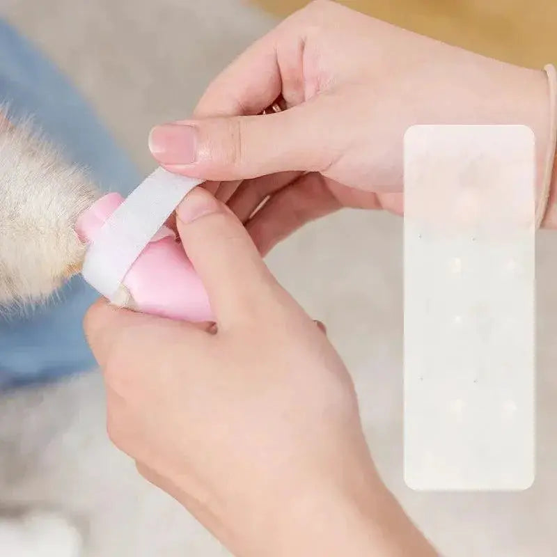 Adjustable Cat Silicone Paw Shoes for Anti Scratch Grooming