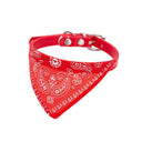Comfort Bandana Collar for Small Dogs