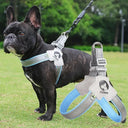 Reflective Harness for French Bulldog