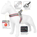 Reflective Harness for French Bulldog