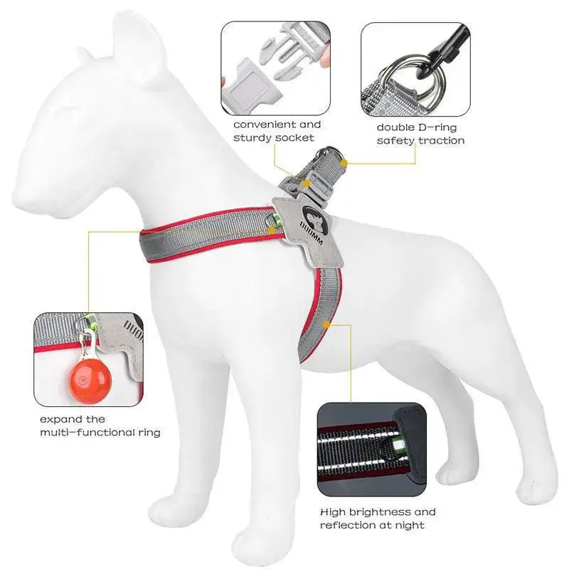 Adjustable Reflective Mesh Harness for French Bulldog