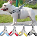 Reflective Harness for French Bulldog