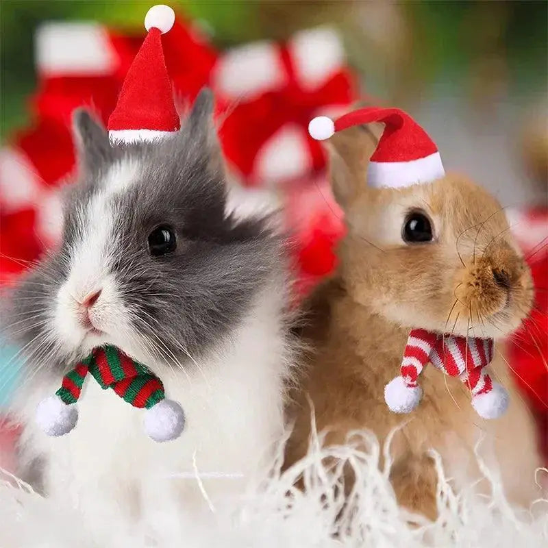 Adorable Christmas Costumes For Small Pets Rabbits And Cats
