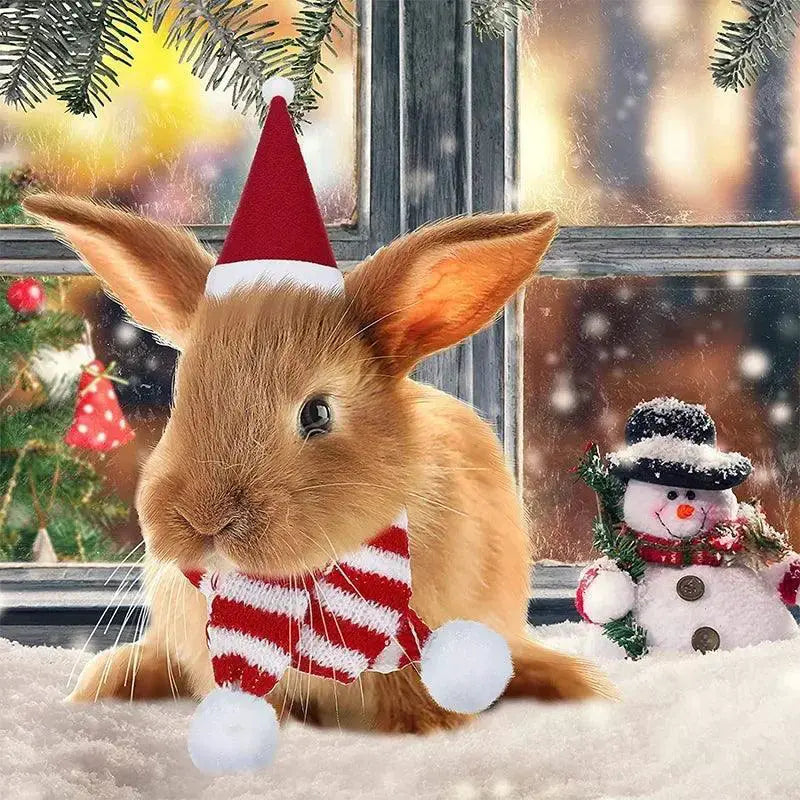 Adorable Christmas Costumes For Small Pets Rabbits And Cats