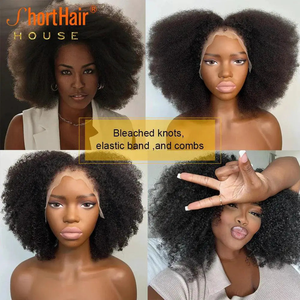 Afro Curly 360 Lace Frontal Wig 250 Percent Density Glueless