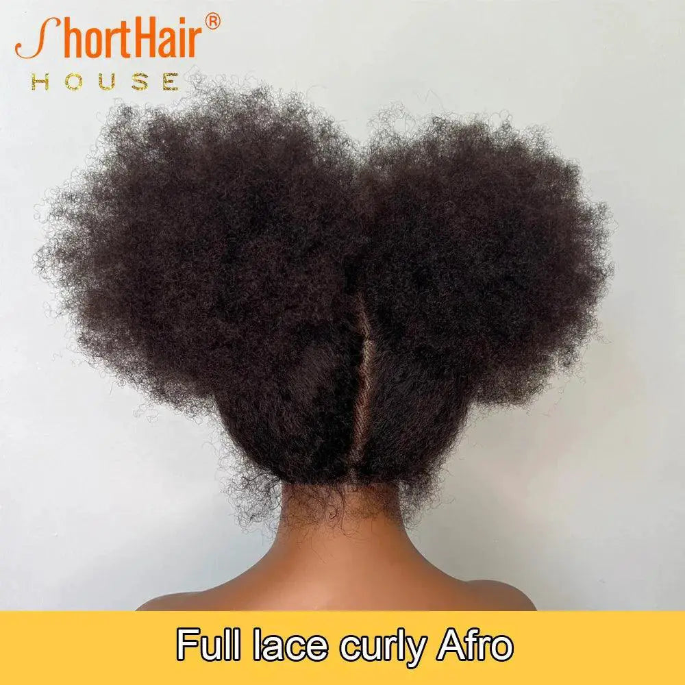 Afro Curly 360 Lace Frontal Wig 250 Percent Density Glueless