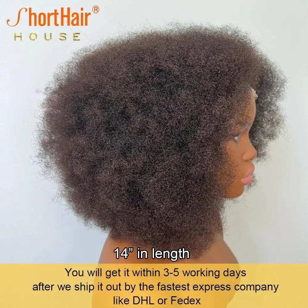 Afro Curly 360 Lace Frontal Wig 250 Percent Density Glueless