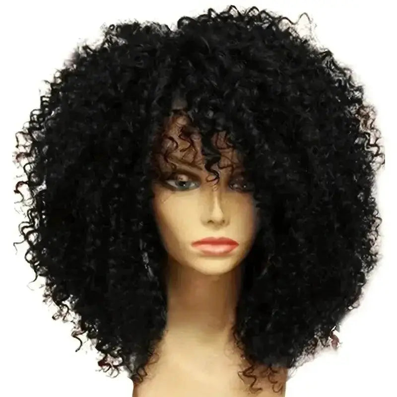 Afro Kinky Curly Hair Wigs Luxurious Style Upgrade 16 Inch
