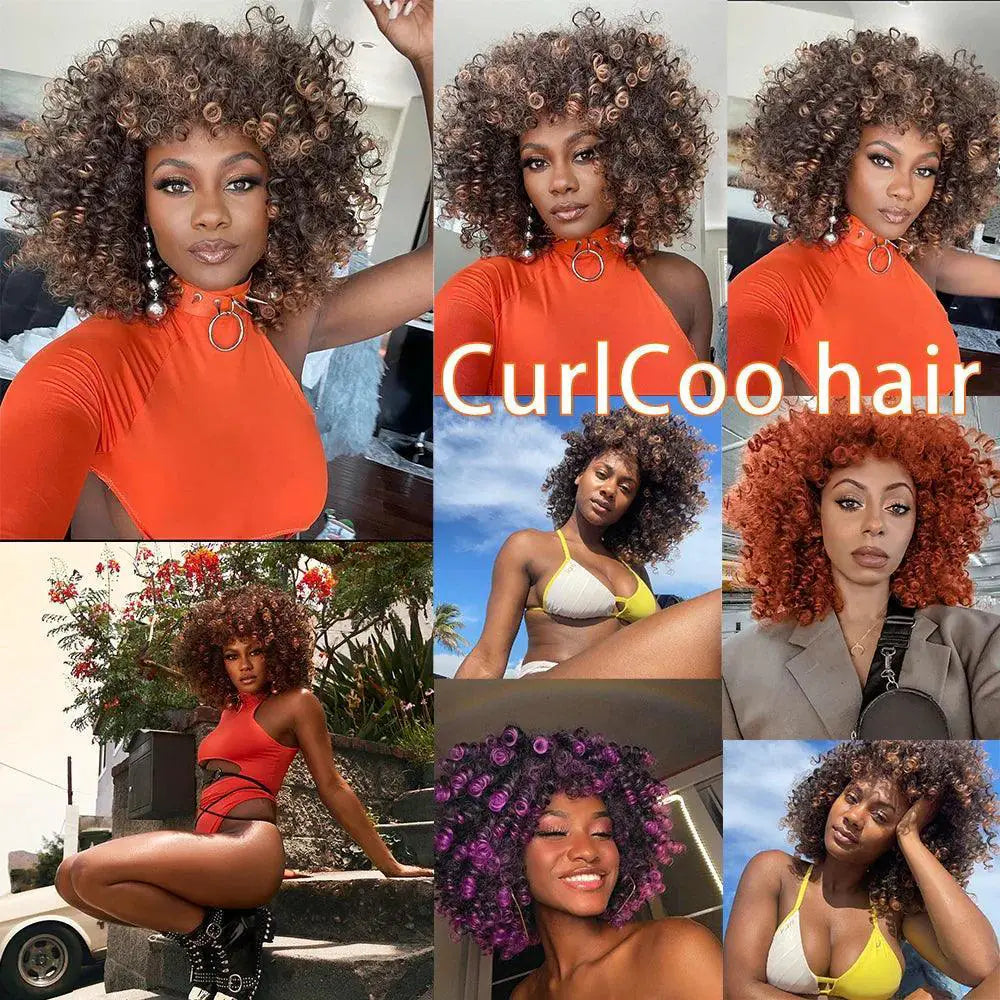 Afro Kinky Curly Ombre Wig Heat Resistant Cosplay Wig
