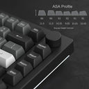 Akko Black & Silver/Dracula Wireless Mechanical Keyboard Gaming Excellence