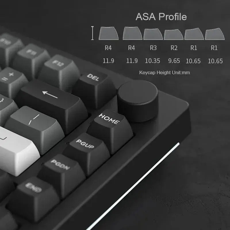 Akko Dracula Wireless Mechanical Keyboard Gaming Excellence