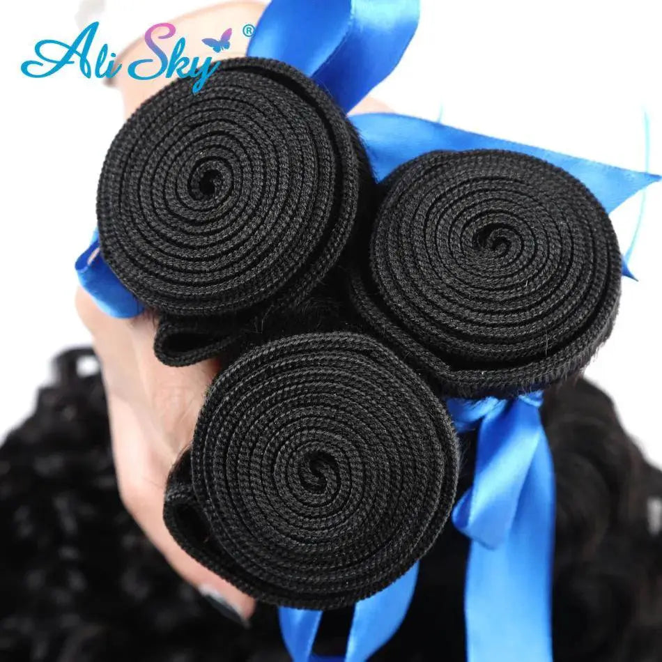 Alisky Deep Curly Brazilian Remy Human Hair Extensions