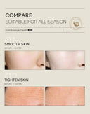 Anti Aging Snail Cream For Damaged Skin
