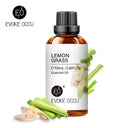 Aromatherapy Essential Oil Set: Vanilla Eucalyptus Jasmine