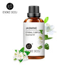 Aromatherapy Essential Oil Set: Vanilla Eucalyptus Jasmine