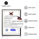 Aromatherapy Essential Oil Set: Vanilla Eucalyptus Jasmine