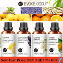 Aromatherapy Essential Oil Set: Vanilla Eucalyptus Jasmine