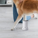 Fast Dog Paw Cleaner for Mess Free Wash