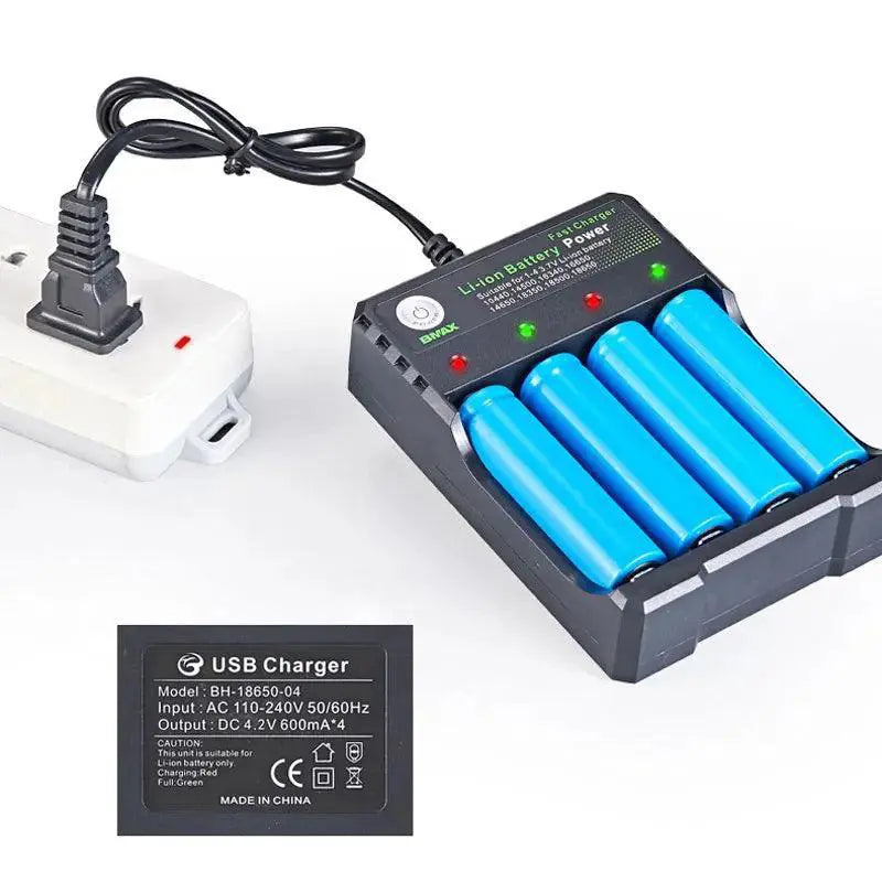 Fast Charging Lithium Battery Charger for Various Batteries