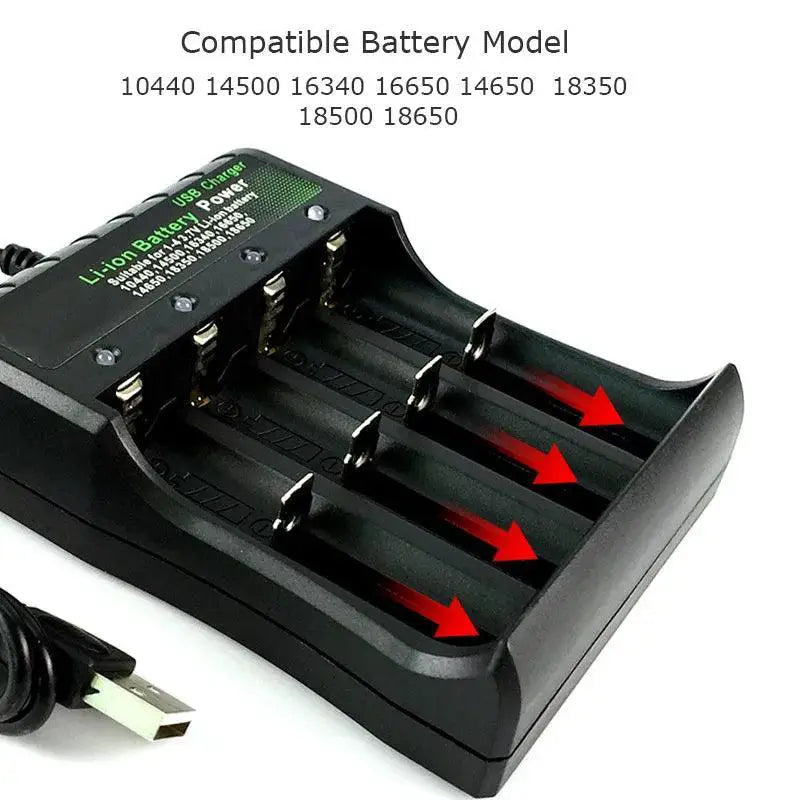 Fast Charging Lithium Battery Charger for Various Batteries
