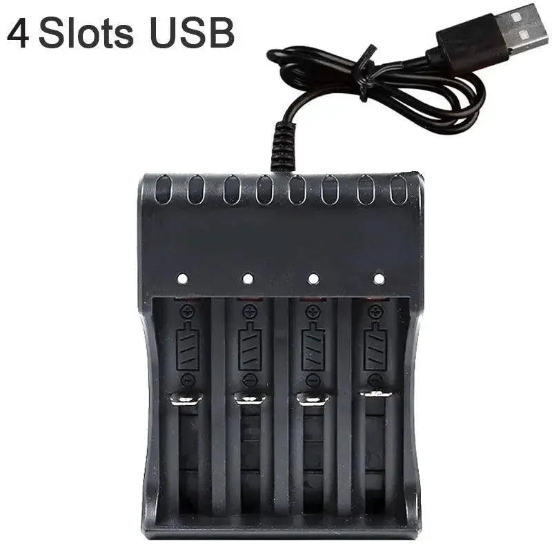 Fast Charging Lithium Battery Charger for Various Batteries