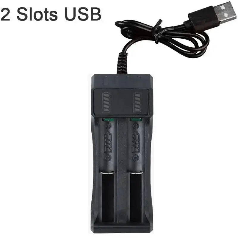 Fast Charging Lithium Battery Charger for Various Batteries