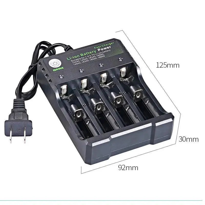 Fast Charging Lithium Battery Charger for Various Batteries