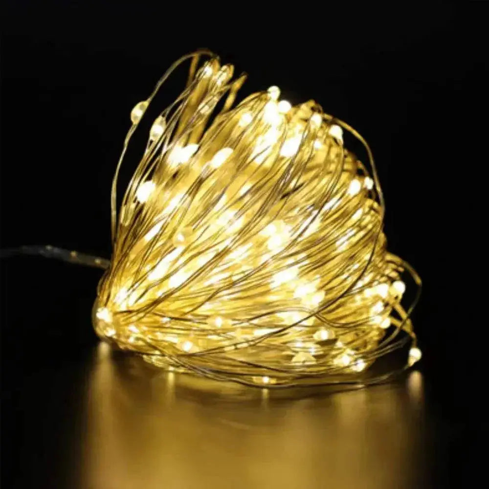 Battery Powered Waterproof LED Fairy Lights for Events
