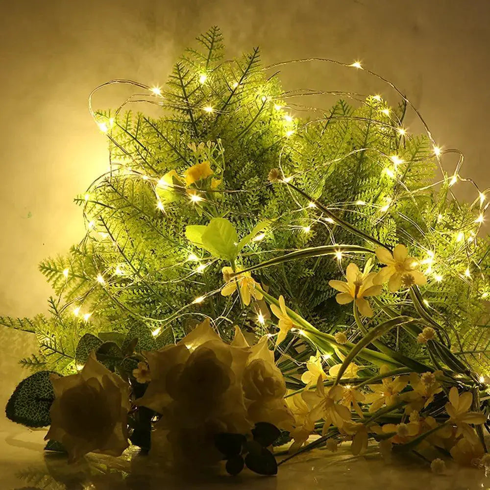 Battery Powered Waterproof LED Fairy Lights for Events