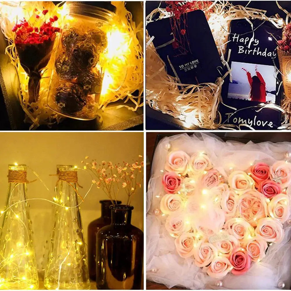 Battery Powered Waterproof LED Fairy Lights for Events