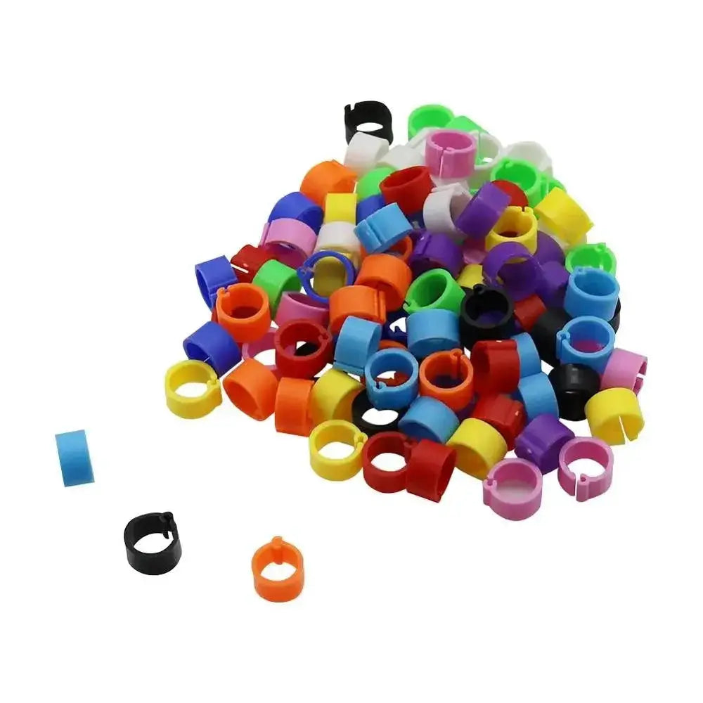Birds Feet Rings 10 Colors 8mm Inner Diameter Pigeons Quails