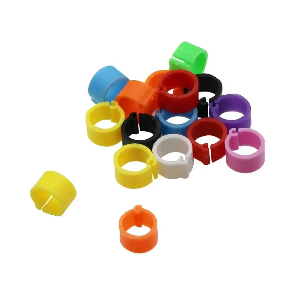 Birds Feet Rings 10 Colors 8mm Inner Diameter Pigeons Quails