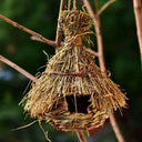 Eco-Friendly Bird Cage for Small Birds