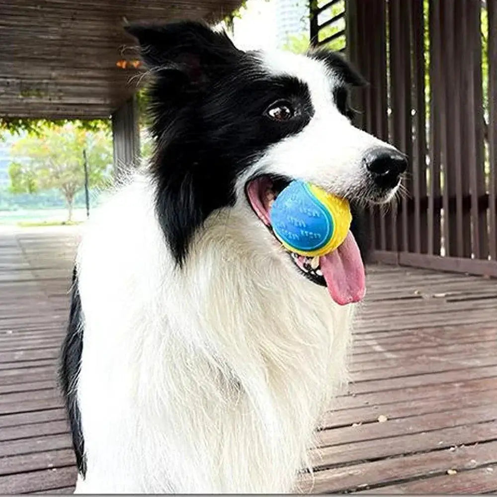 Bite Resistant Beef Flavored Rubber Ball for Dog Training