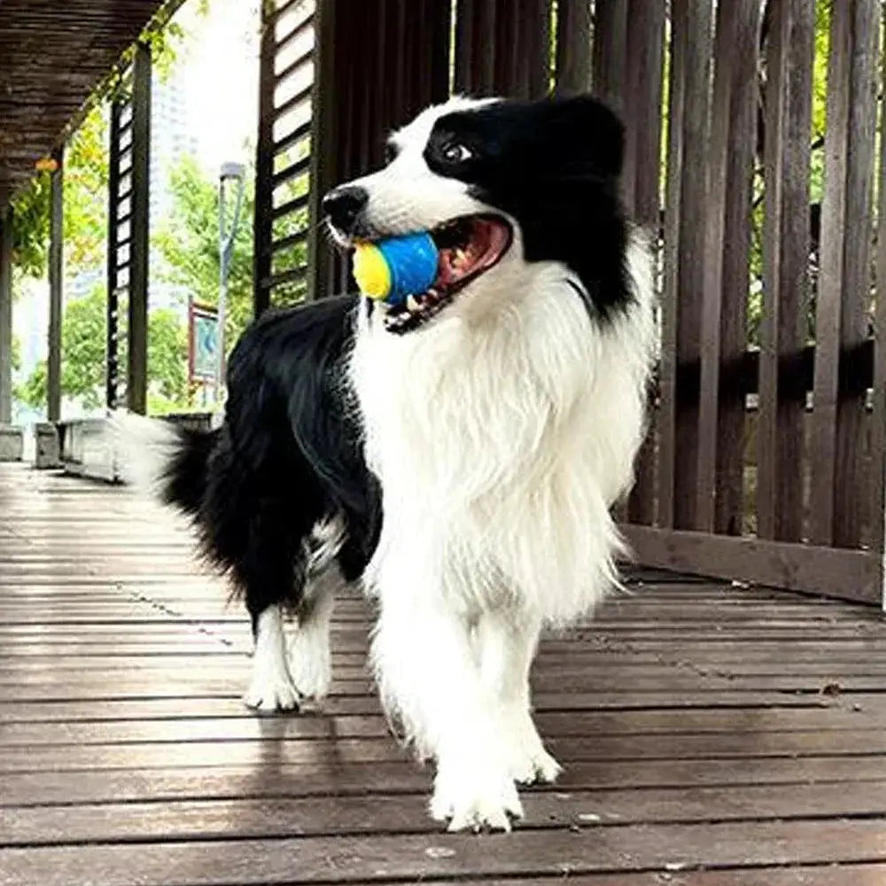 Bite Resistant Beef Flavored Rubber Ball for Dog Training